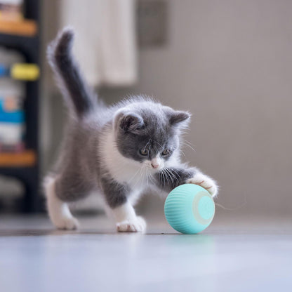 Pelota Interactiva Para Mascotas